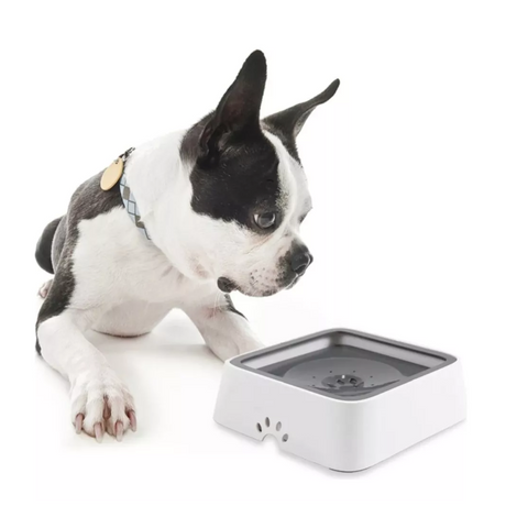 Bebedero Flotante Anti Splashes De 1,5 L